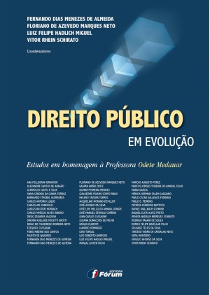 Breves considera&ccedil;&otilde;es sobre os modernos desafios para a arbitragem em mat&eacute;ria de investimento: princ&iacute;pios substantivos