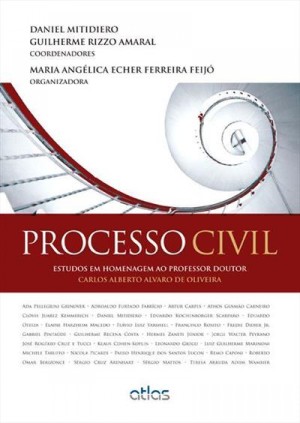 Resolu&ccedil;&atilde;o de conflitos mediante jurisdi&ccedil;&atilde;o e arbitragem